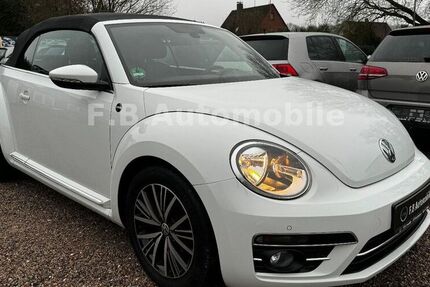 VW Beetle