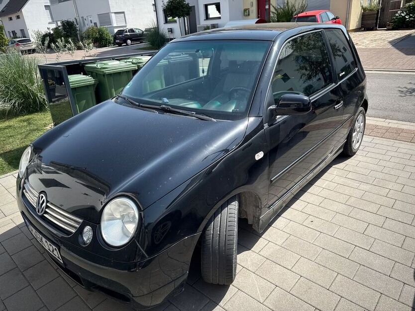 Lupo