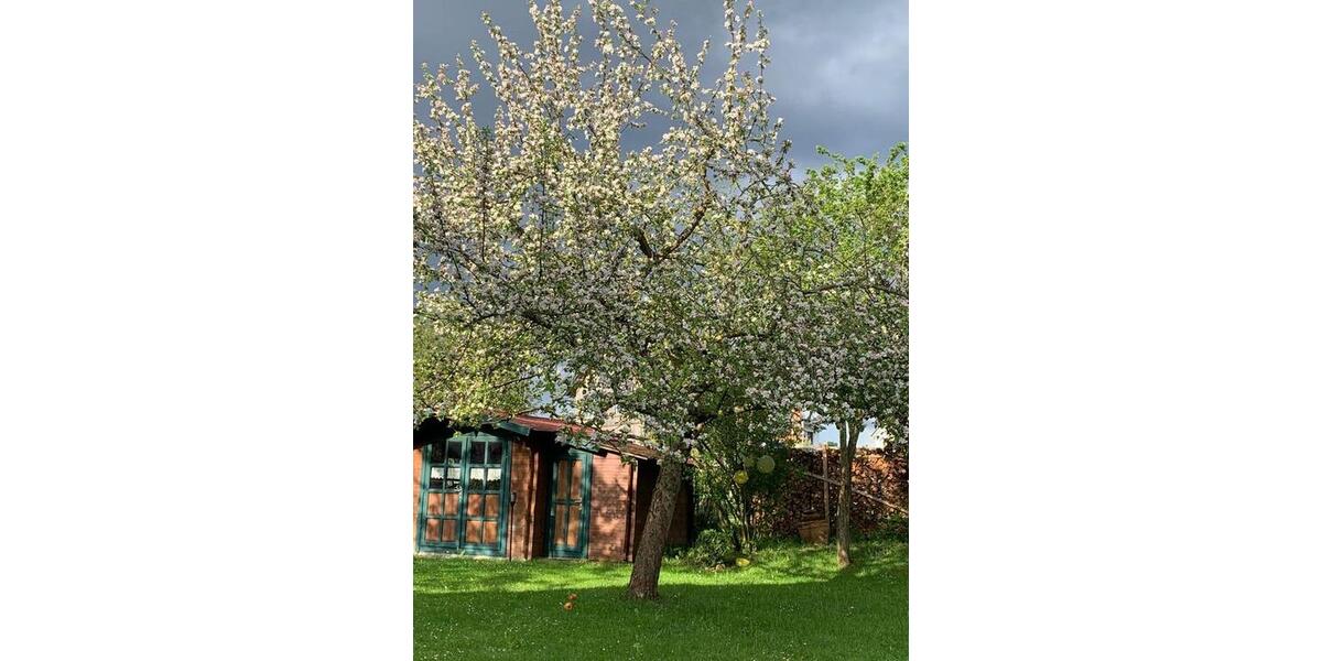 Einfamilienhaus Meeder - 6 Zimmer, 170 m&sup2;, 1.400&euro; | Angebot:26357102