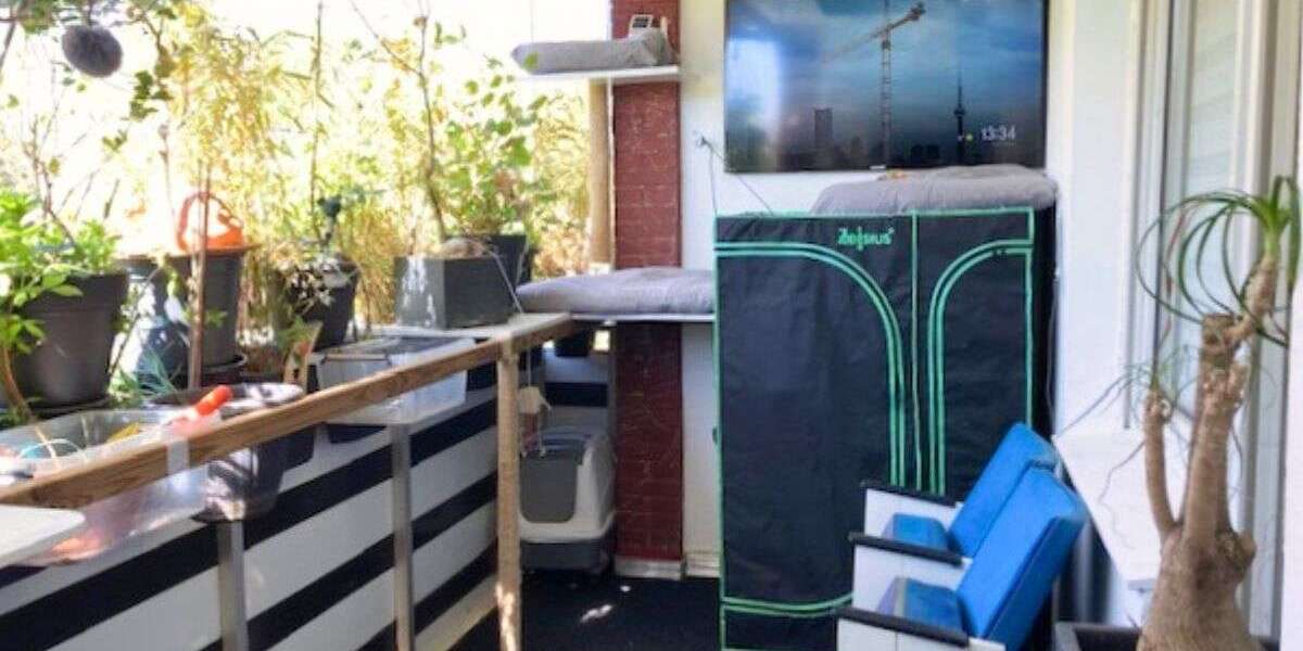 Wohnung zum Kaufen in Münster 185.000 € 60 m² 2 zimmer