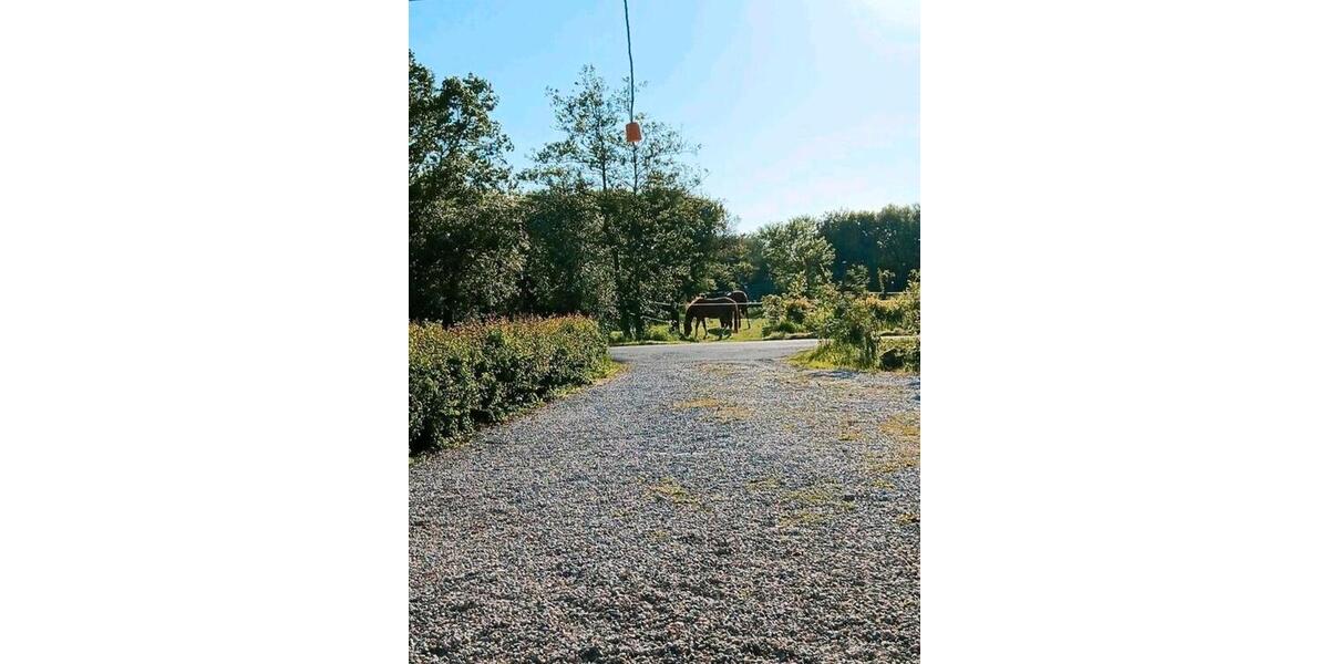Bauernhaus, Landhaus Klanxbüll - 5 Zimmer, 140 m&sup2;, 355.000&euro; | Angebot:26809671