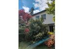 Bungalow Bonn Hardtberg - 5 Zimmer, 110 m&sup2;, 2.500&euro; | Angebot:26591880
