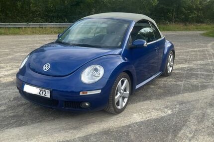 VW Beetle