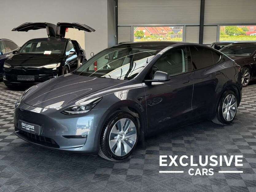 Model Y
