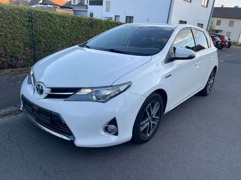 Auris