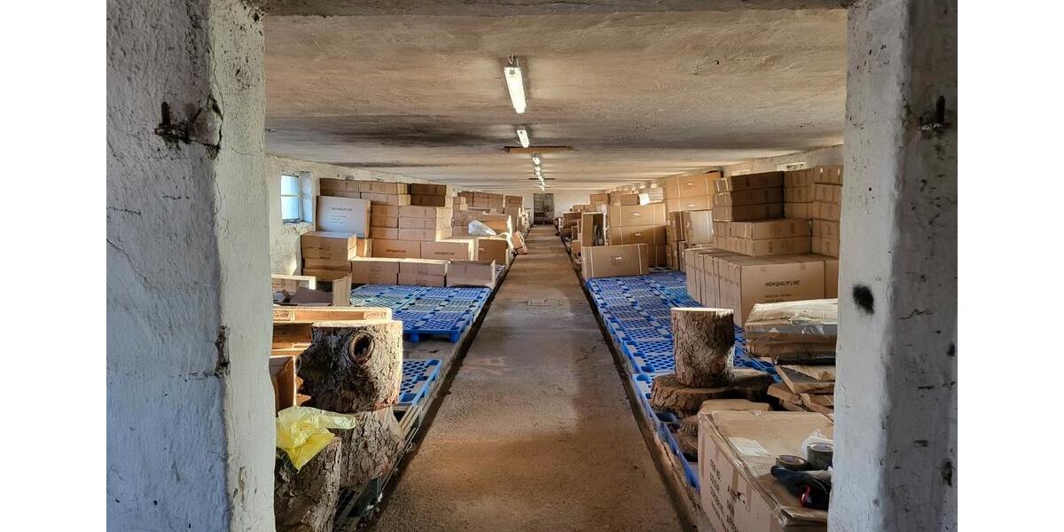 Gewerbeobjekt Löwenberger Land - 650&euro; | Angebot:26441797