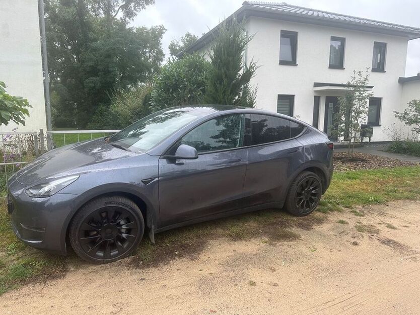 Model Y