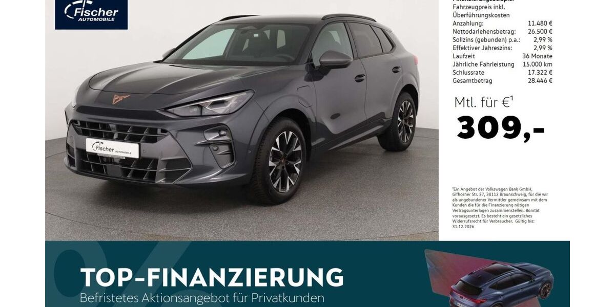 Cupra Terramar 23.857 km 37.980 &euro; Neumarkt 92318