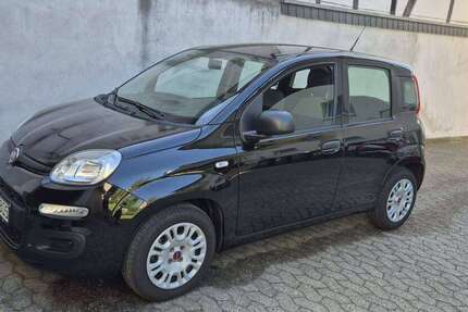 Fiat Panda 10.380 km 11.650 &euro; Wachtberg 53343