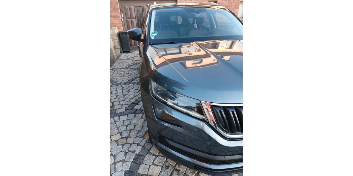 Skoda Kodiaq 172.000 km 20.000 &euro; Unstrut Hainich 99991
