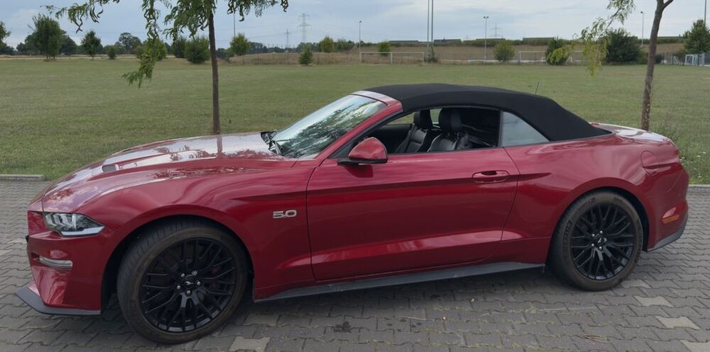 Mustang