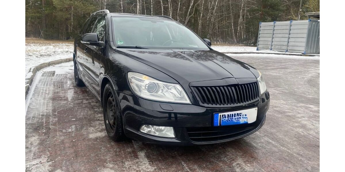Skoda Octavia 233.000 km 4.699 &euro; Groß Köris 15746