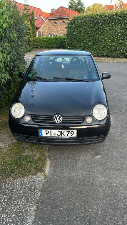 Lupo