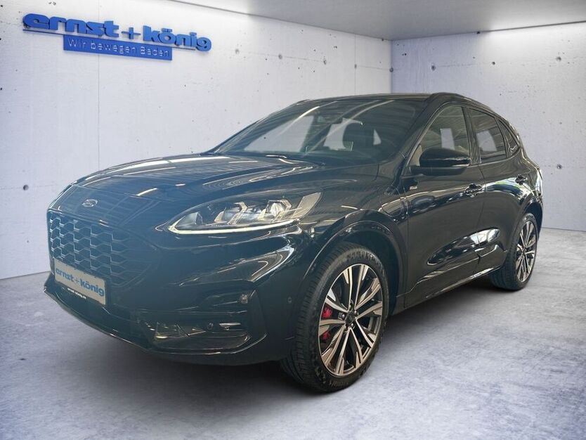 Kuga