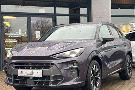 Cupra Terramar 8.185 km 42.199 &euro; Altentreptow 17087