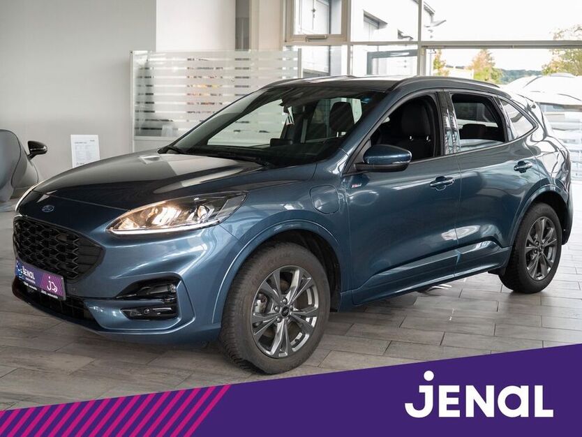 Kuga