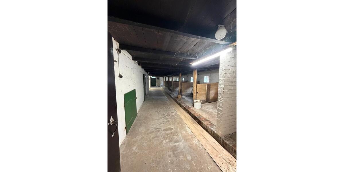 Bauernhaus, Landhaus Uplengen - 7 Zimmer, 150 m&sup2;, 320.000&euro; | Angebot:26114493