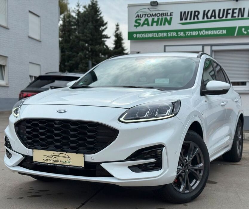 Kuga