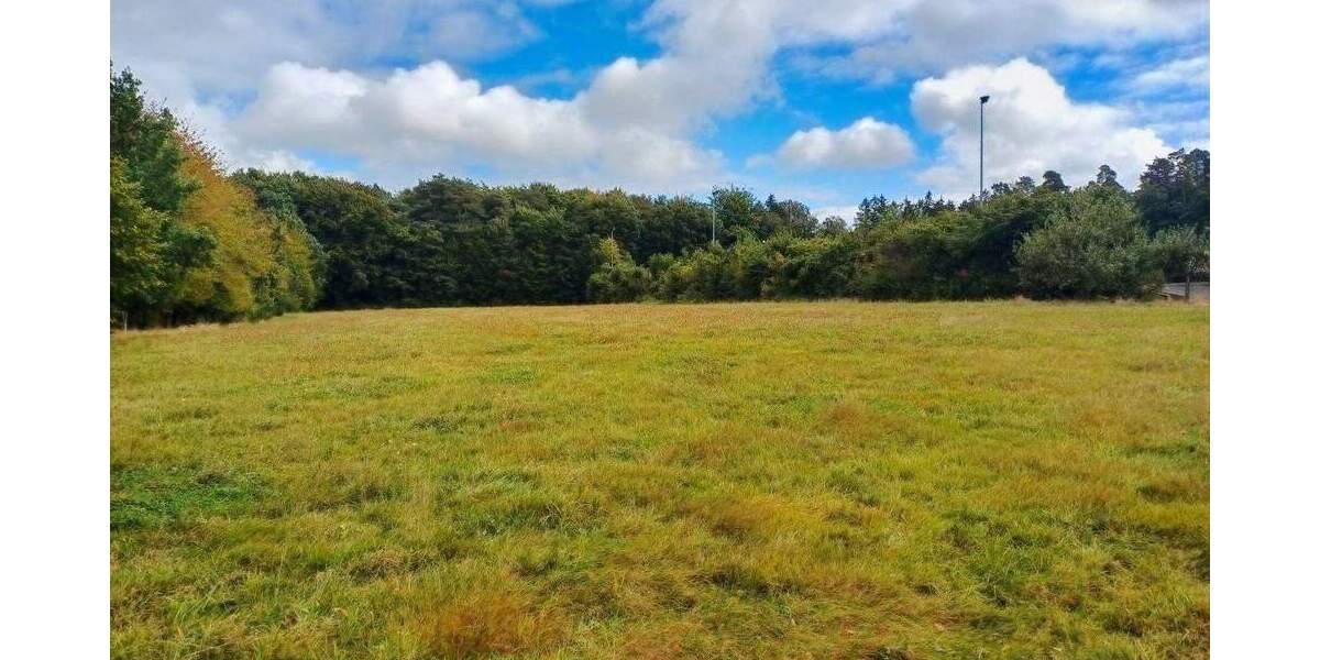 Grundstück Herforst - 63.500&euro; | Angebot:25739681