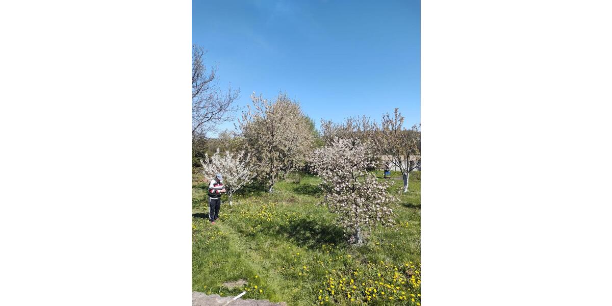 Bungalow Schwedt (Oder) - 455.700&euro; | Angebot:27071482