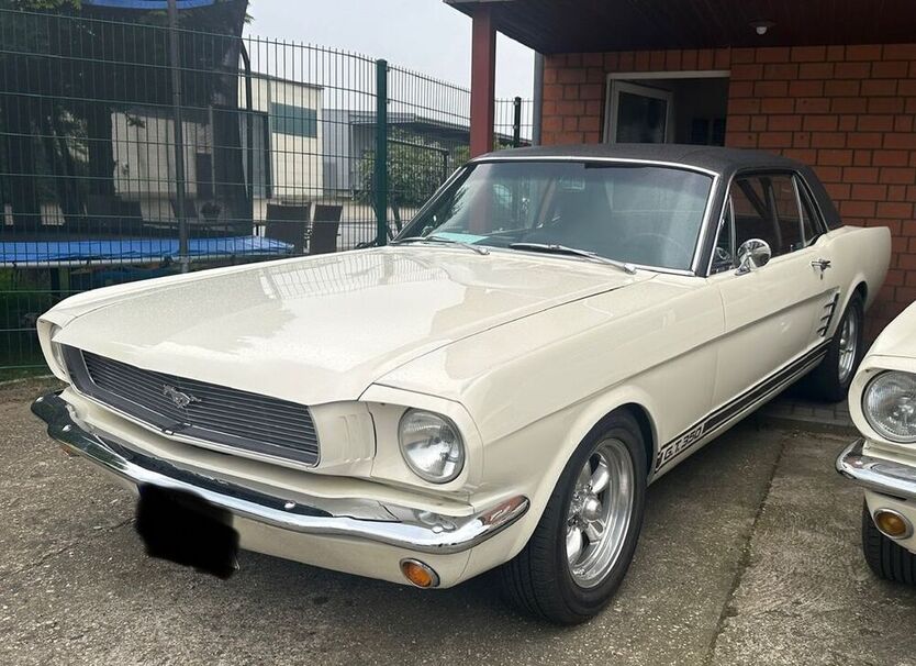 Mustang