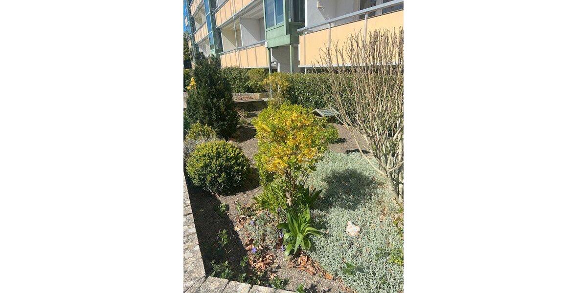 Erdgeschoßwohnung Torgelow - 2 Zimmer, 63 m&sup2;, 320&euro; | Angebot:26456355