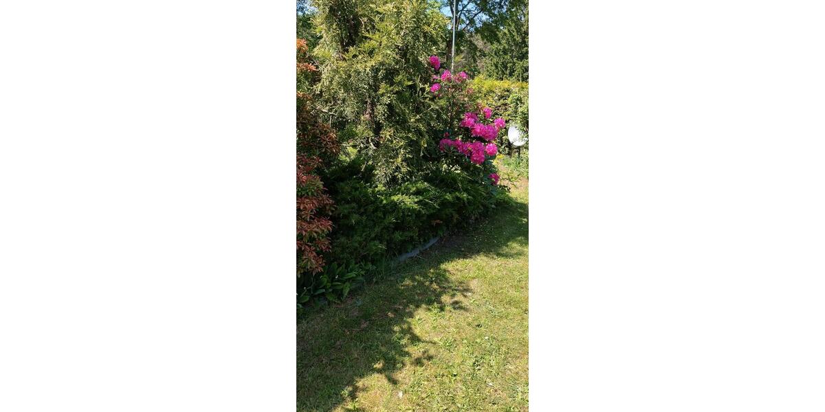 Bungalow Spremberg - 1 Zimmer, 40 m&sup2;, 60.000&euro; | Angebot:26857756