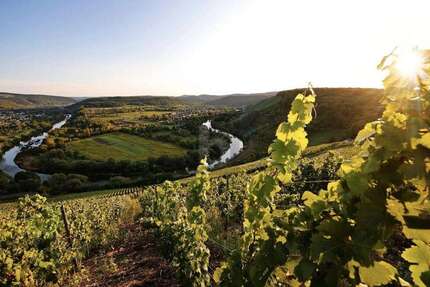 Grundstück Wiltingen - 165.000&euro; | Angebot:25549640