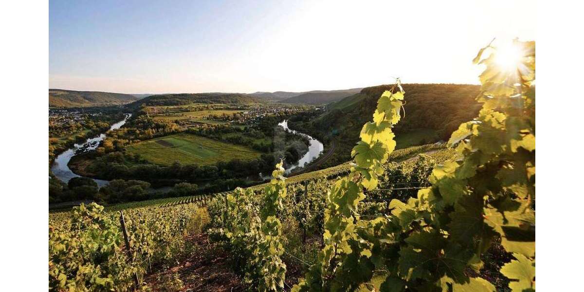 Grundstück Wiltingen - 165.000&euro; | Angebot:25549640