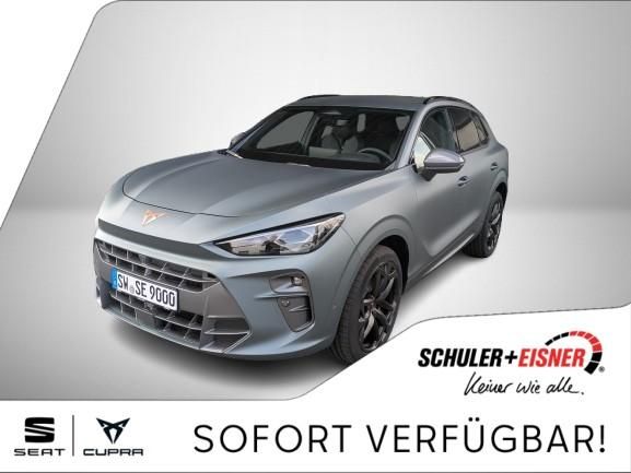 Cupra Terramar 12.500 km 46.990 &euro; Werneck 97440