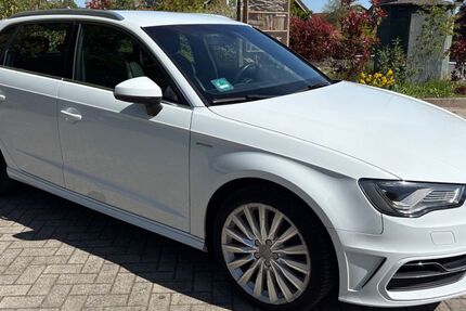 Audi A3 240.000 km 8.500 &euro; Bad Bentheim/Gildehaus 48455