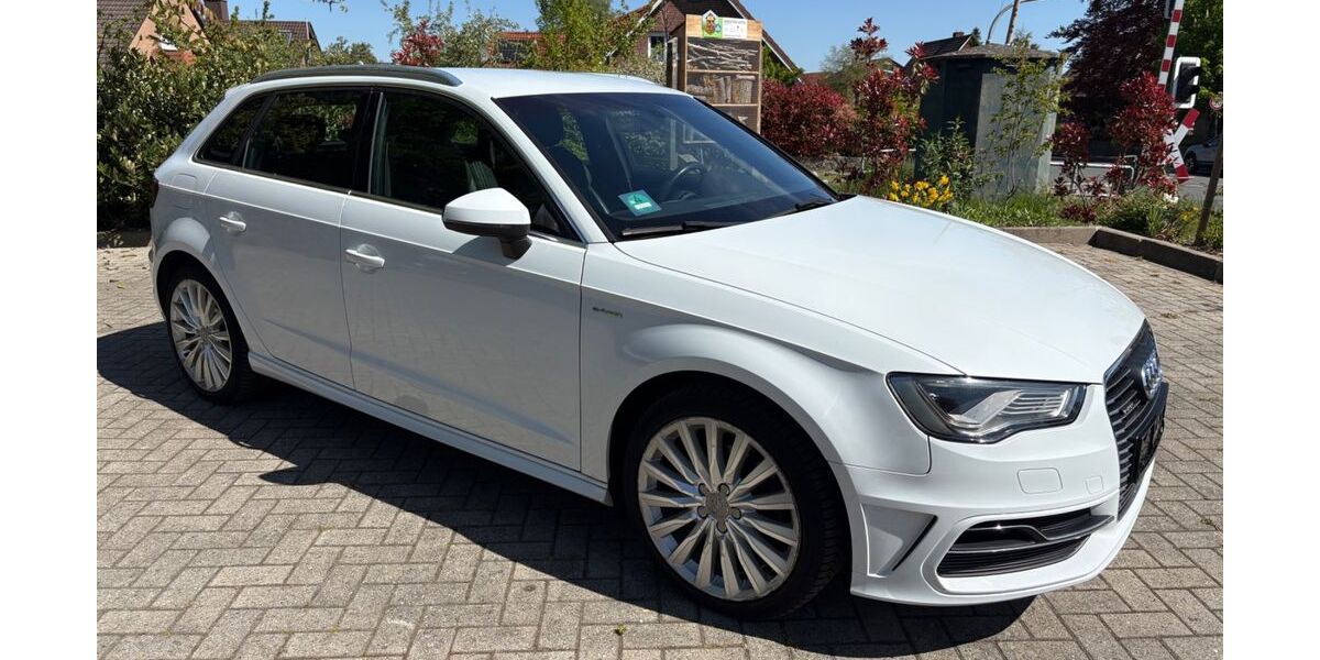 Audi A3 240.000 km 8.500 &euro; Bad Bentheim/Gildehaus 48455