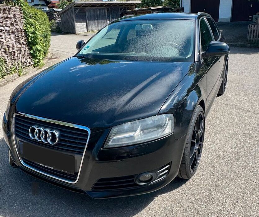A3
