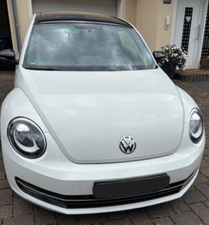 Beetle