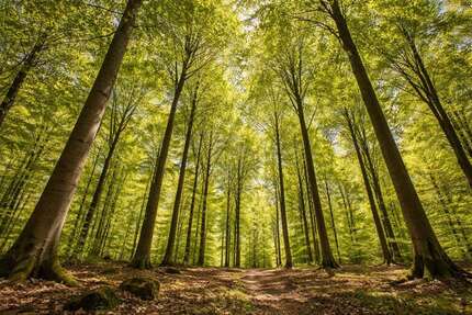 Grundstück Porta Westfalica / Hausberge Hausberge - 29.000&euro; | Angebot:24826478