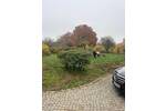 Grundstück Hoisdorf - 230.000&euro; | Angebot:25726746
