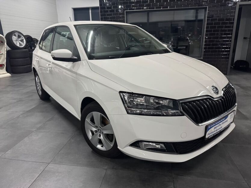 Skoda Fabia 96.000 km 10.499 € Weiden 92637