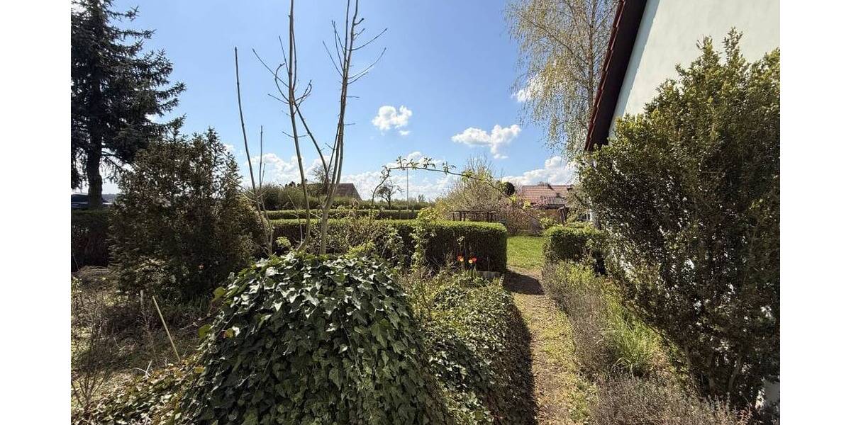Bauernhaus, Landhaus Kasel-Golzig Jetsch - 4 Zimmer, 111 m&sup2;, 130.000&euro; | Angebot:26402556