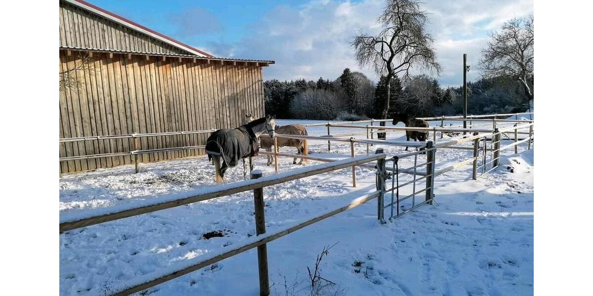 Einfamilienhaus Breitenbrunn - 6 Zimmer, 193 m&sup2;, 1.050.000&euro; | Angebot:26973805