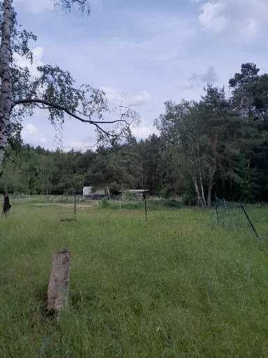 Einfamilienhaus Wiesenburg/Mark Mark - 3 Zimmer, 110 m&sup2;, 199.000&euro; | Angebot:26896550