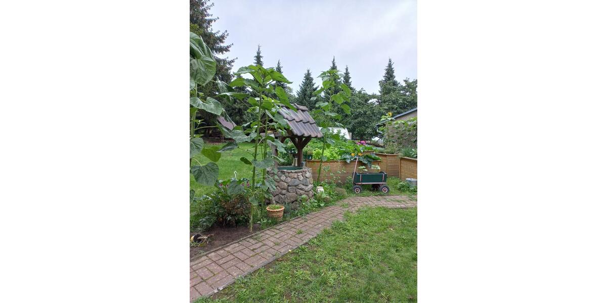 Einfamilienhaus Parchim - 6 Zimmer, 160 m&sup2;, 258.000&euro; | Angebot:25988197