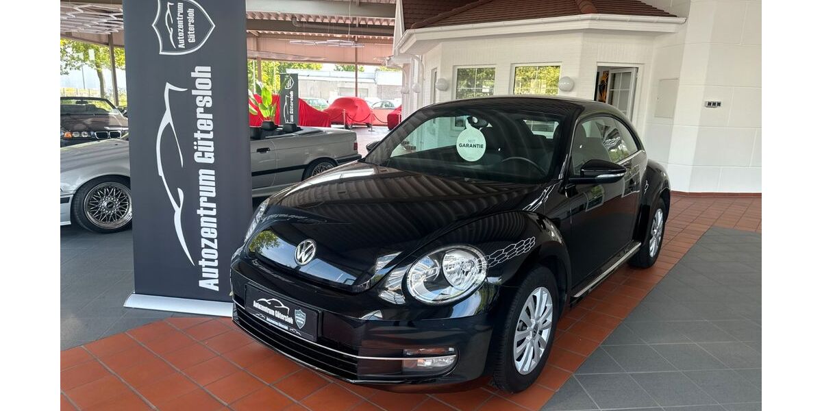 VW Beetle 120.000 km 7.999 &euro; Gütersloh 33334