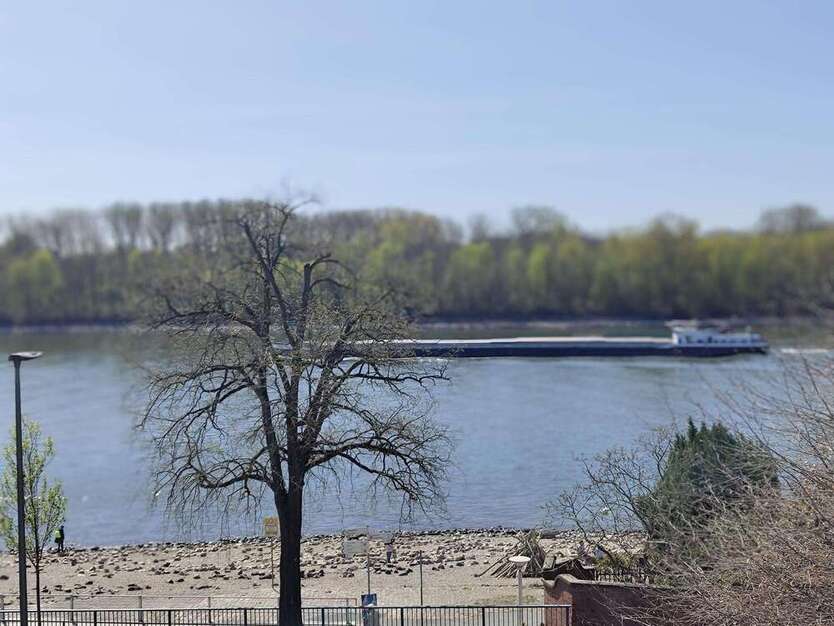 Wohnung zum Mieten in Wiesbaden - Biebrich 1.950 € 129 m²