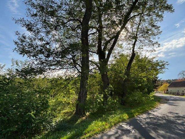 Grundstück Planebruch Oberjünne - 125.000&euro; | Angebot:25770013