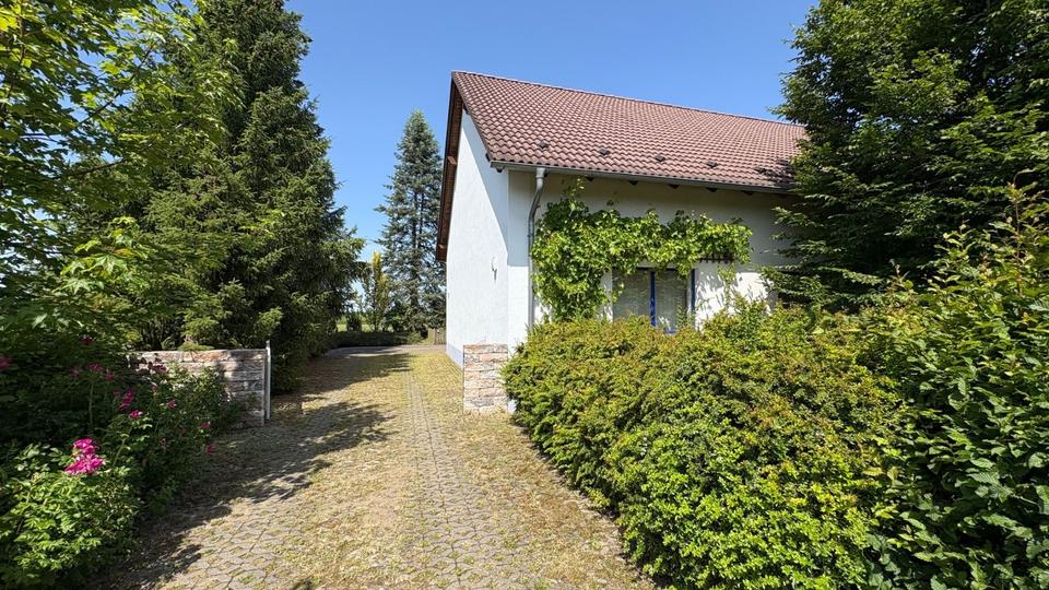 Einfamilienhaus Torgau - 369.000&euro; | Angebot:25554015