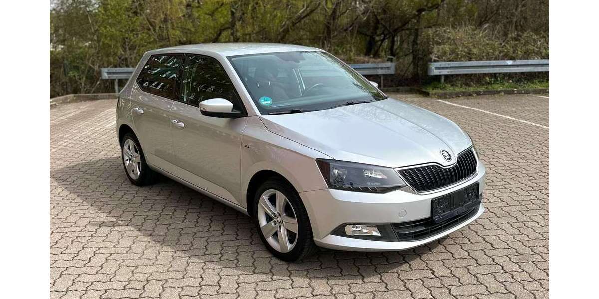 Skoda Fabia 135.000 km 10.900 &euro; Hamburg 22047