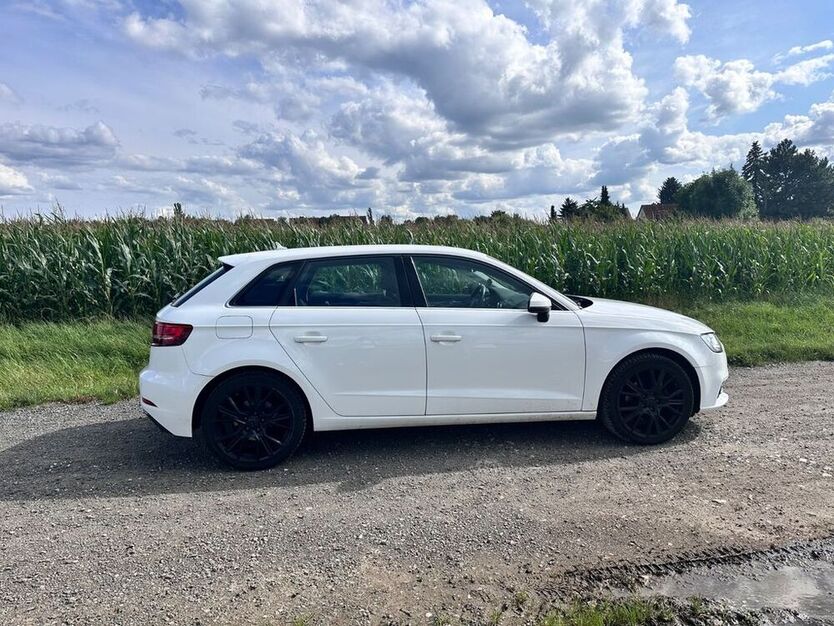 A3