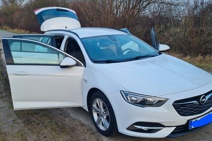 Opel Insignia 124.901 km 11.500 &euro; Gresenhorst 18337