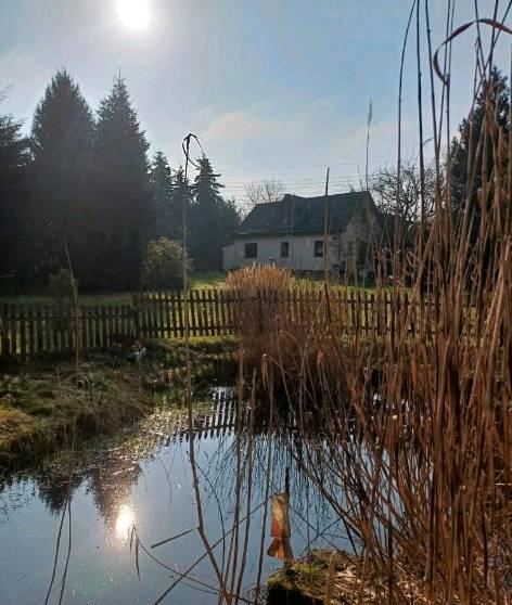 Einfamilienhaus Demmin - 6 Zimmer, 230 m&sup2;, 299.000&euro; | Angebot:26768860