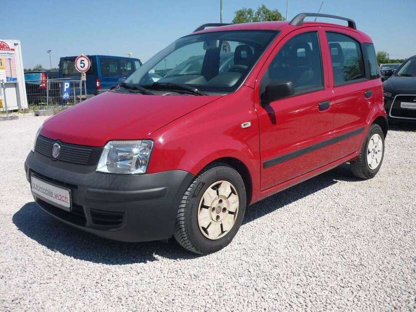 Panda
